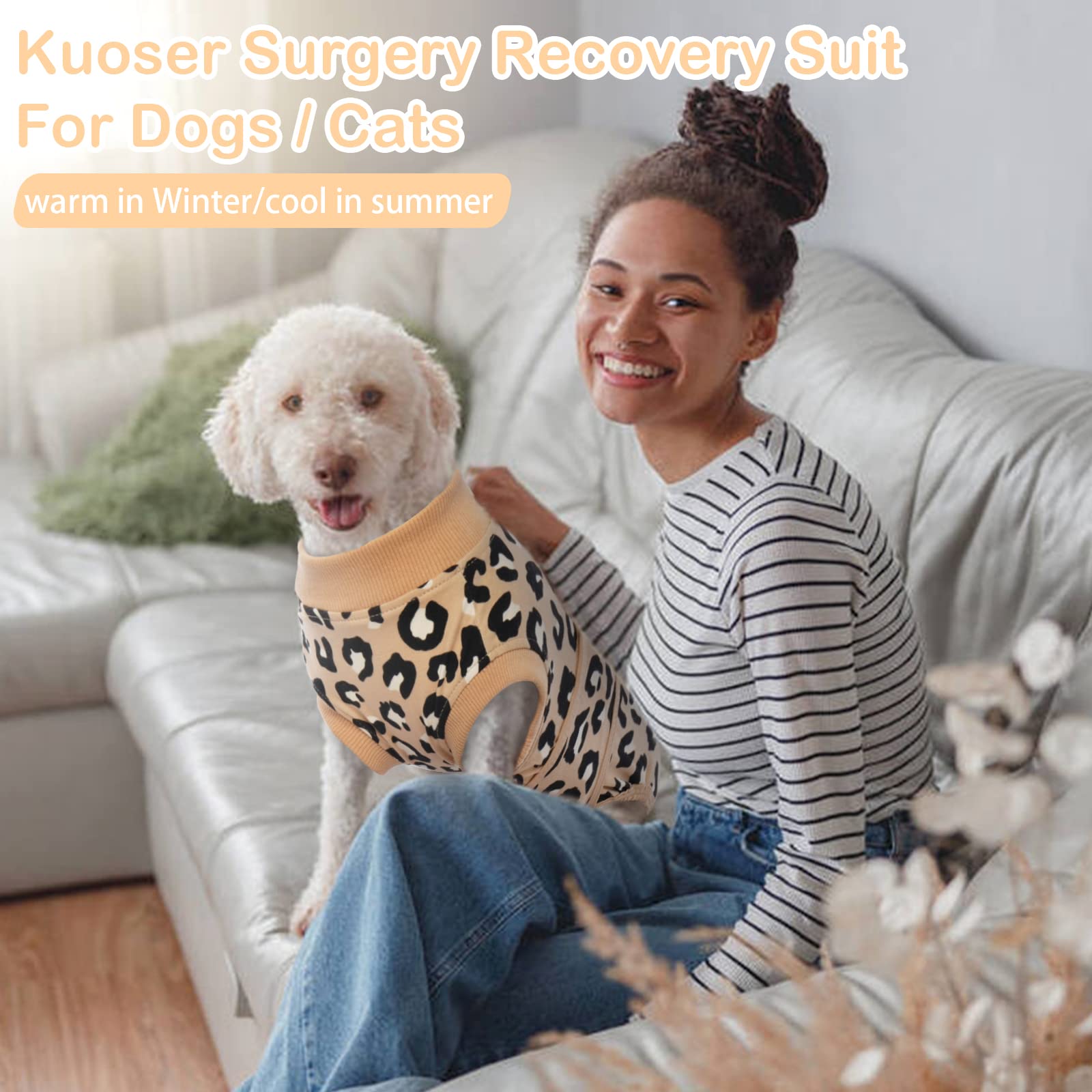 Kuoser scène détente chien sur canapé illustrant confort et mobilité retrouvés