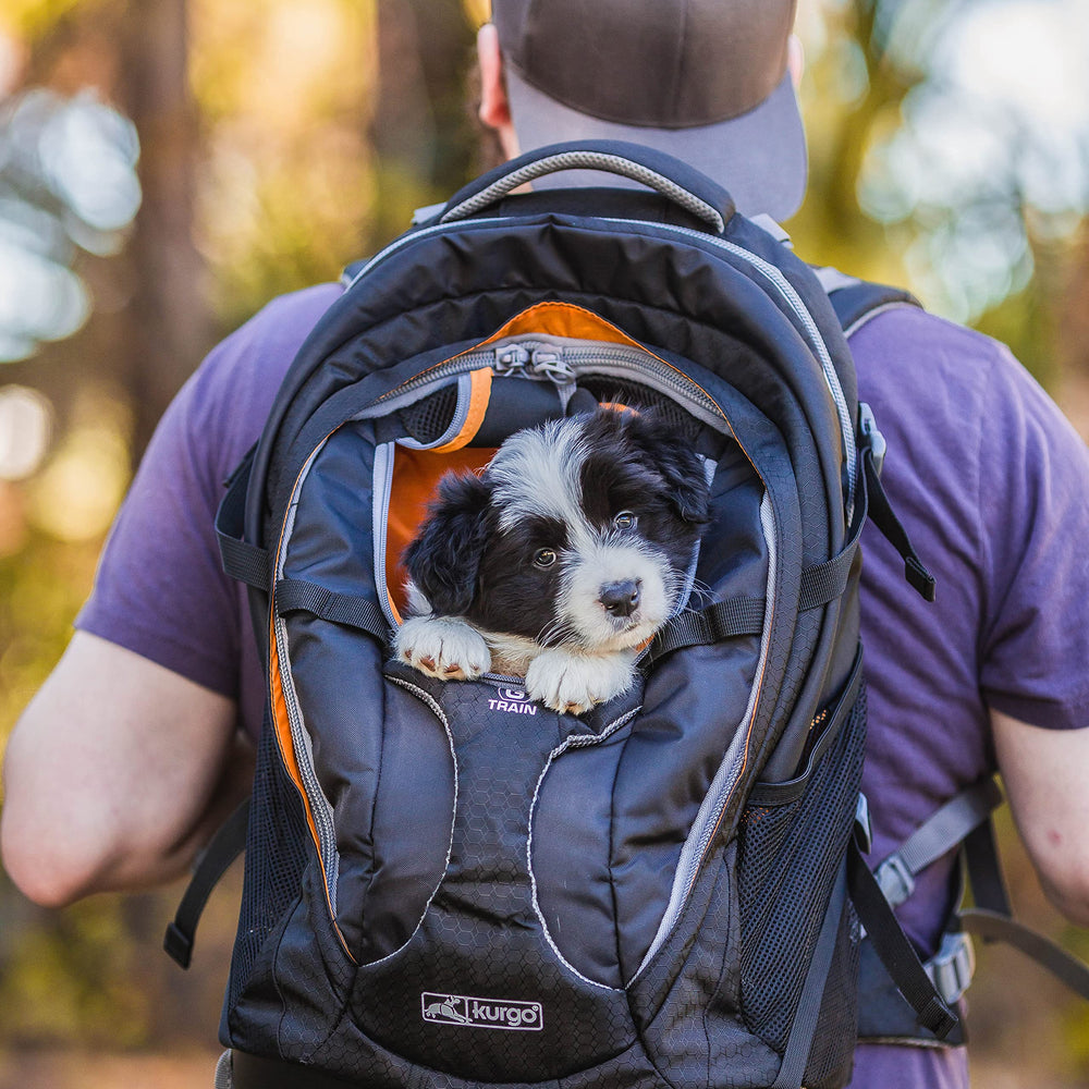Kurgo G-Train ouverture supérieure en filet offrant visibilité et ventilation pour l’animal