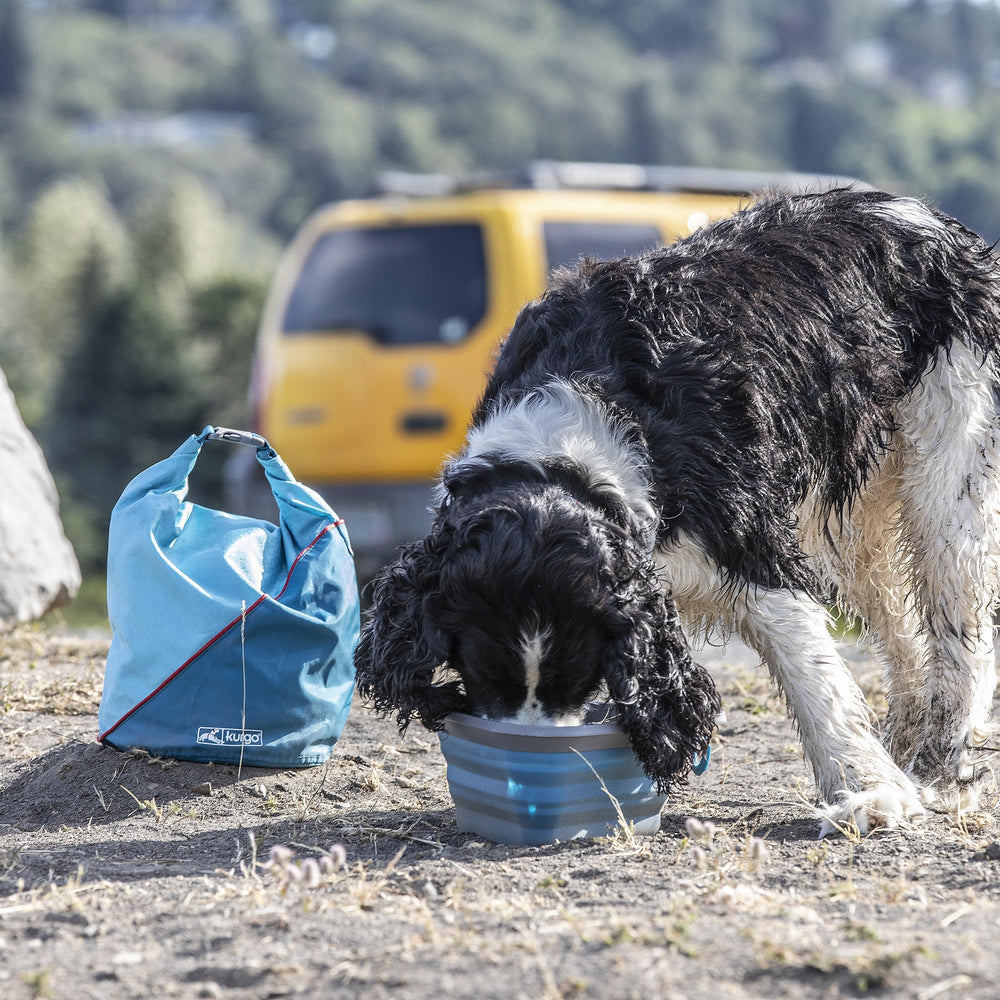 Kurgo Kibble Carrier posé au camp avec chien pour repas en extérieur organisé