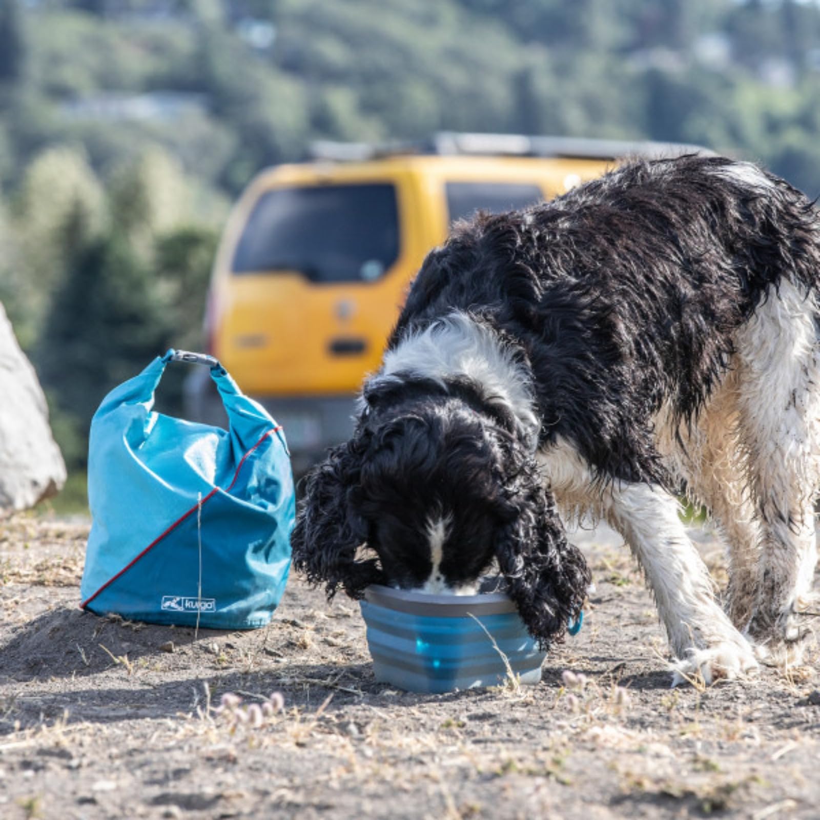 Kurgo Kibble Carrier poche inférieure accueillant un bol pliable Kurgo pratique