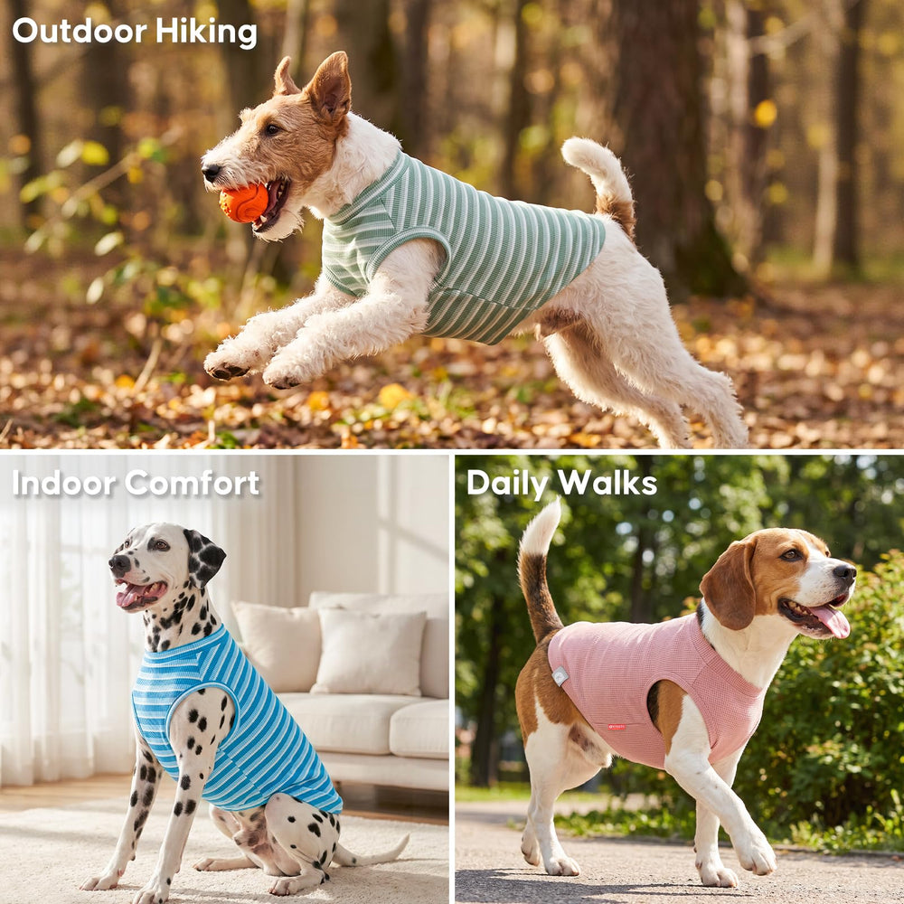 KYEESE petit chien portant le t-shirt en extérieur, liberté de mouvement