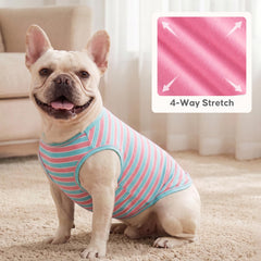 KYEESE petit chien portant le tee-shirt à la maison, liberté de mouvement