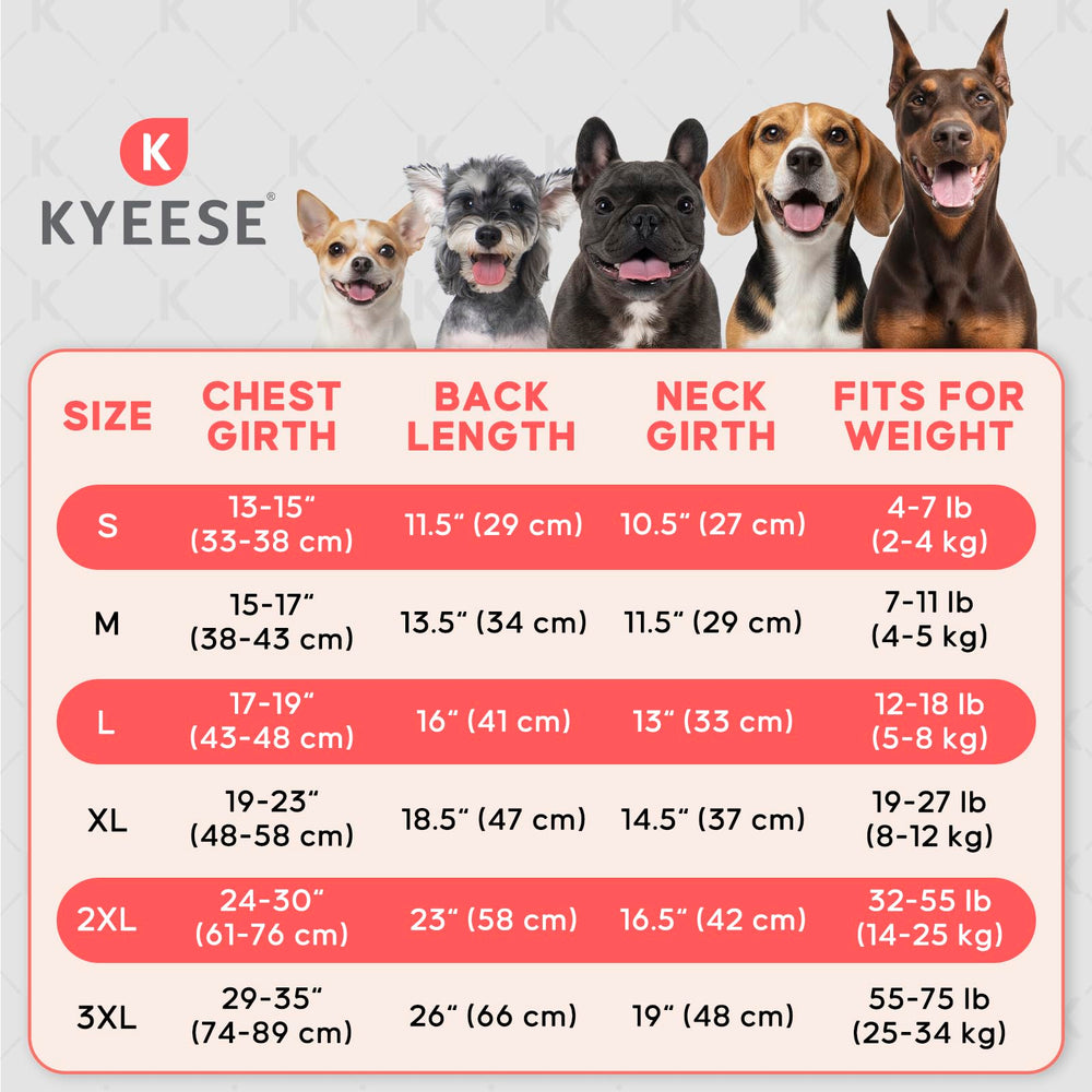 KYEESE chien portant le pull lors d'une courte promenade confortable