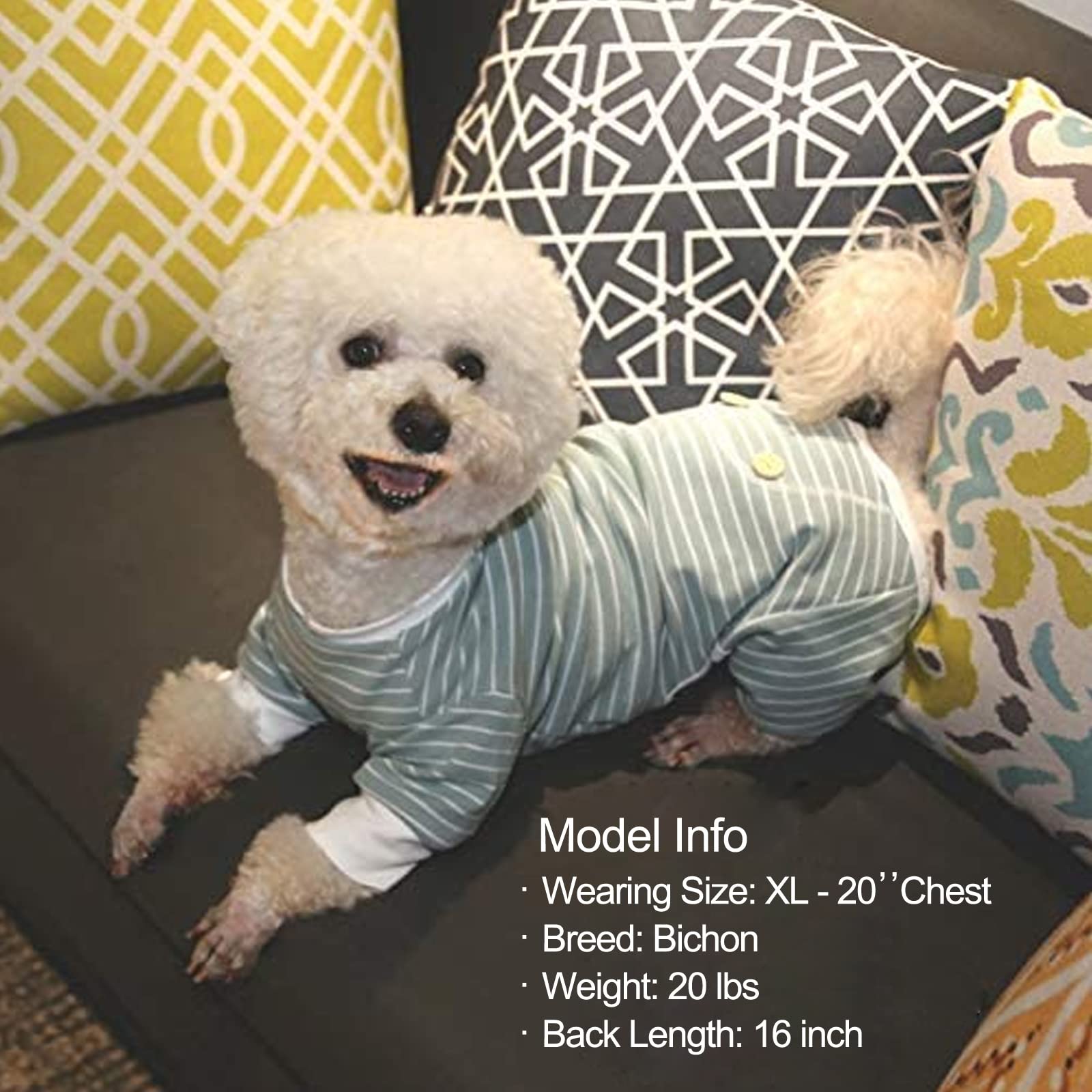 KYEESE pyjama dans salon mettant en valeur look intérieur élégant