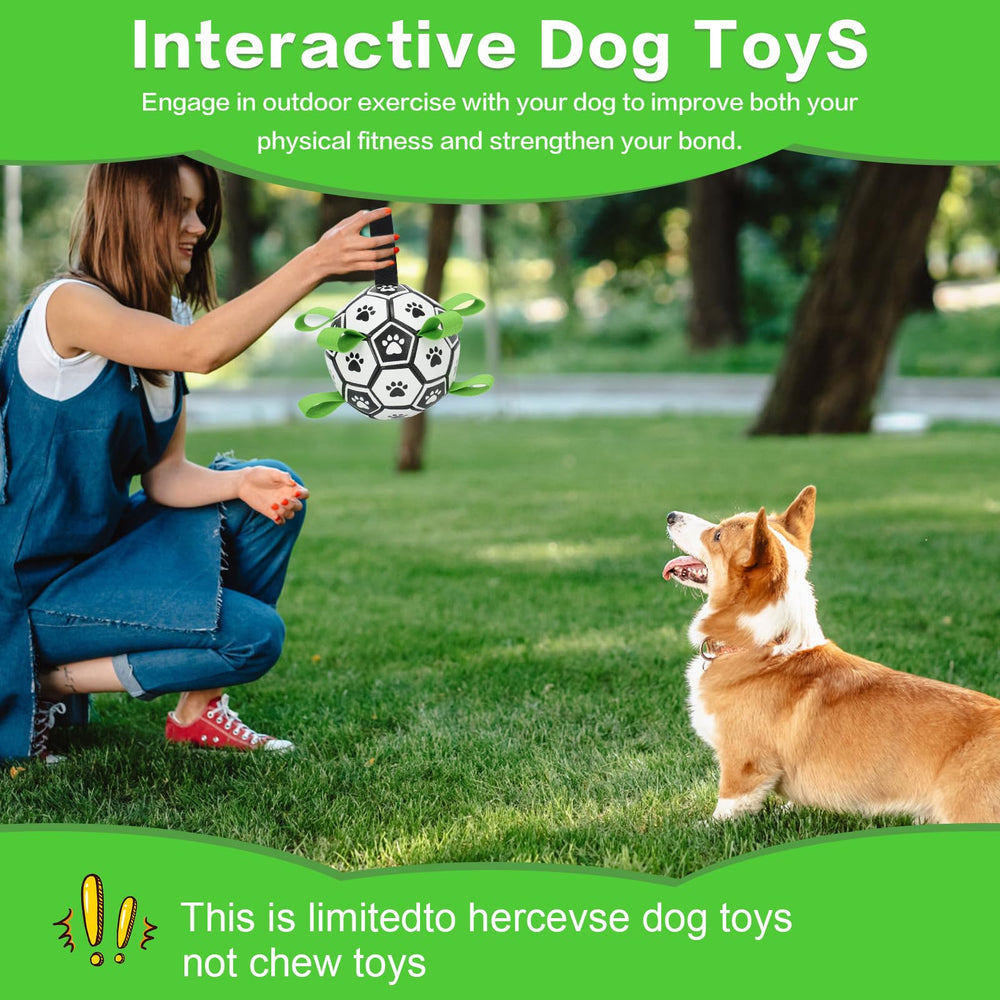 Kylinsure scène lifestyle au parc canin illustrant interaction humain-chien active
