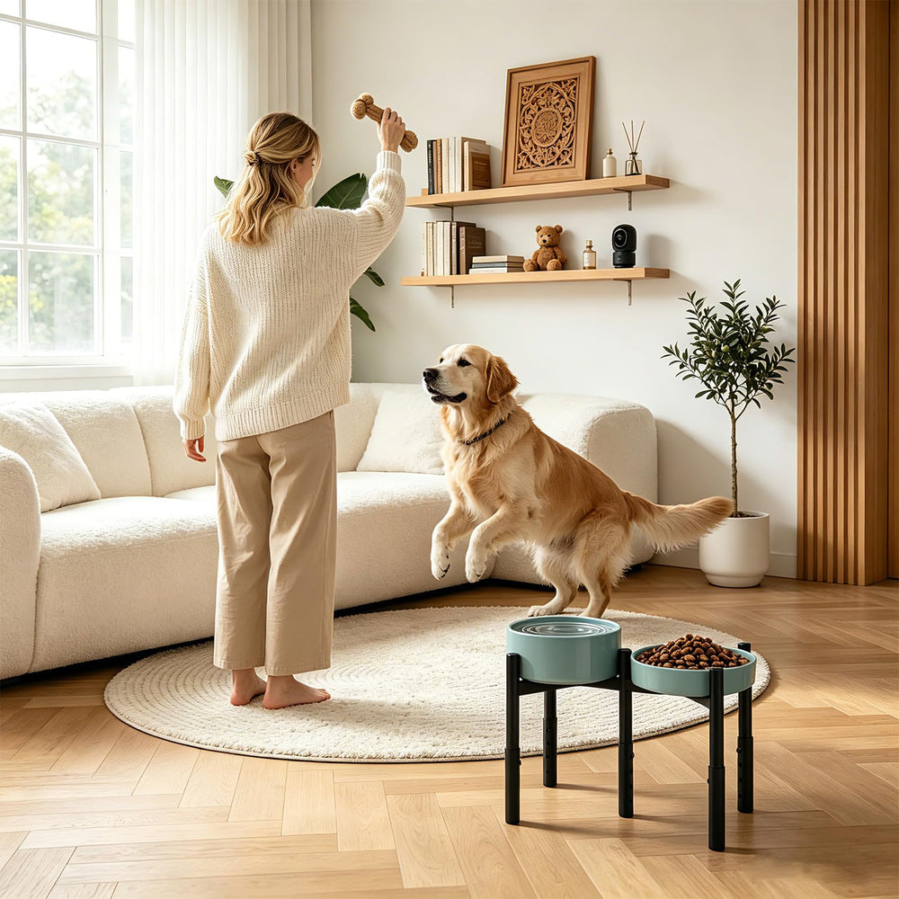 Kynbnire comparaison taille avec chiot illustrant réglage hauteur