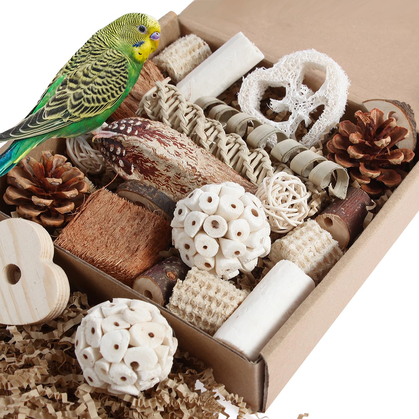 Kyouki boîte de recherche vue de face montre l'assemblage naturel bénéfique