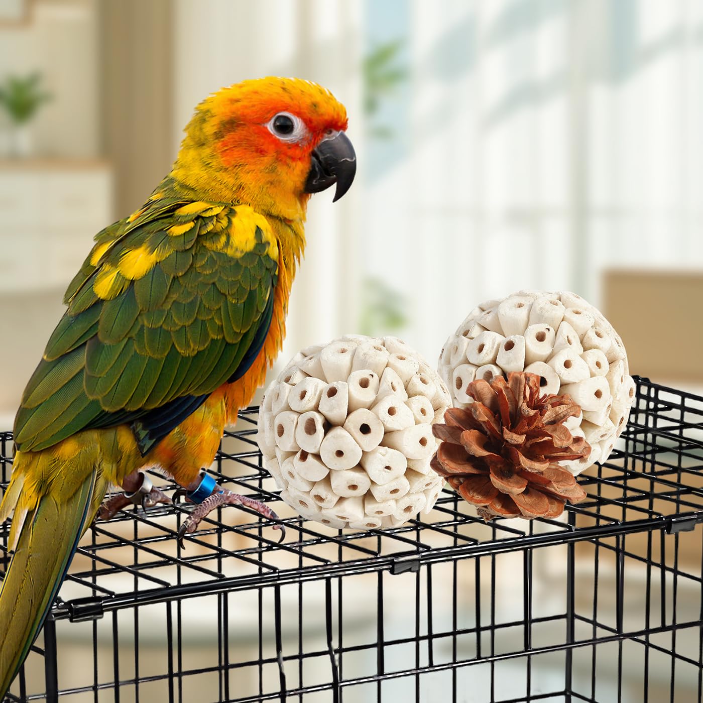 Kyouki jouet installé dans une cage améliorant l'environnement