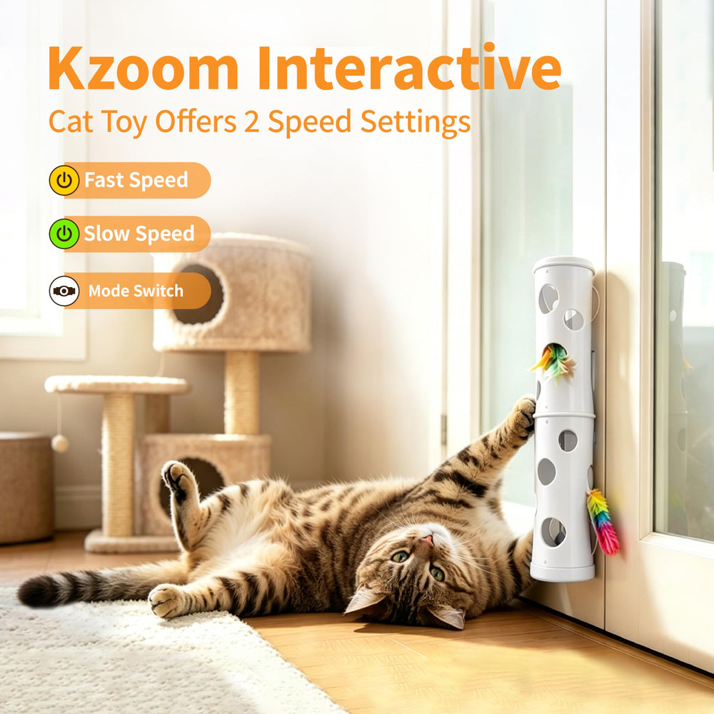Kzoom jouet en action avec chat jouant pour stimulation et exercice