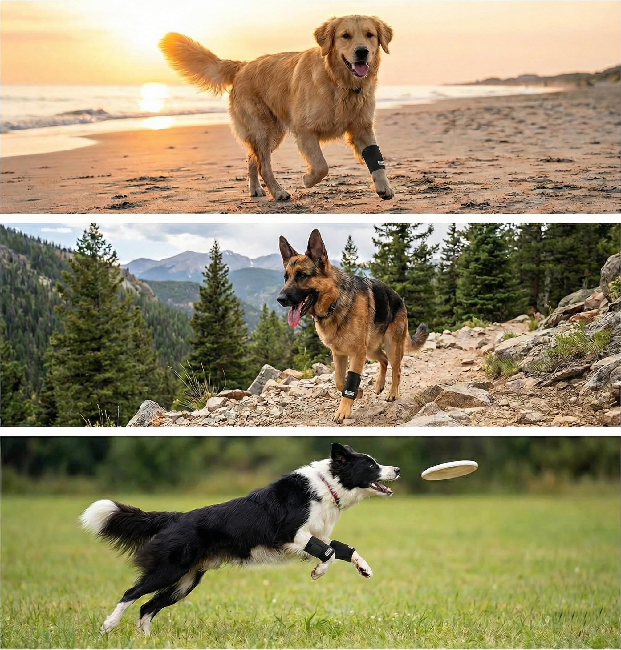 Avant et après usage Labra montrant protection de la zone blessée