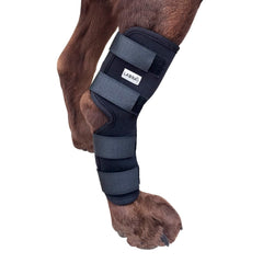 Labra attelle hock vue face montrant maintien et ajustement confortable
