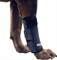 Labra attelle patte avant vue de face offrant maintien et protection