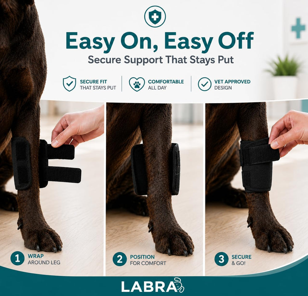 Labra attelle avec sangles réglables pour ajustement sécurisé