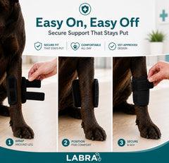 Labra attelle avec sangles réglables pour ajustement sécurisé