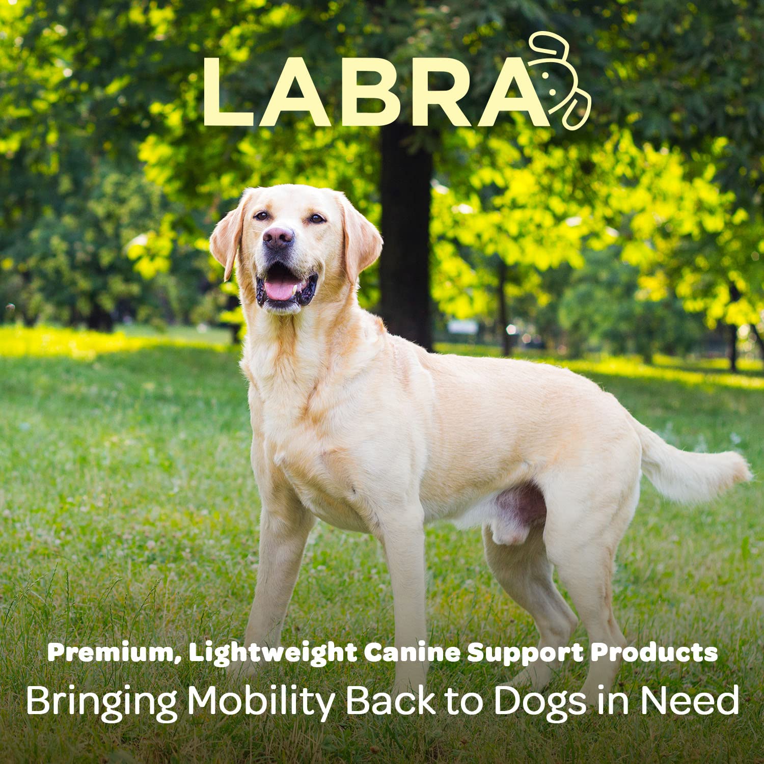 Labra comparaison taille benne montrant ajustement et compatibilité