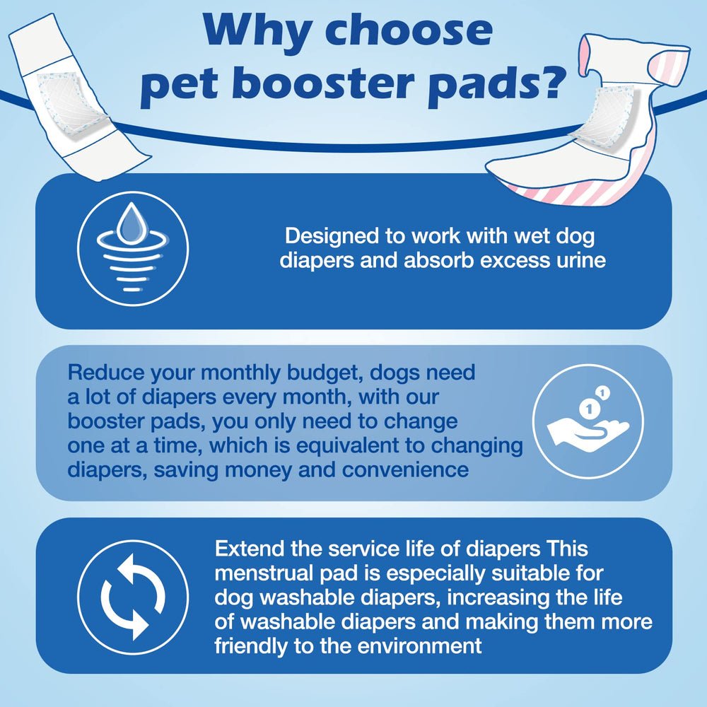 Chien portant la protection Ladadee pour sorties et confort