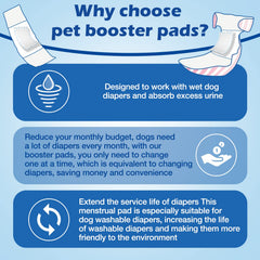 Chien portant la protection Ladadee pour sorties et confort