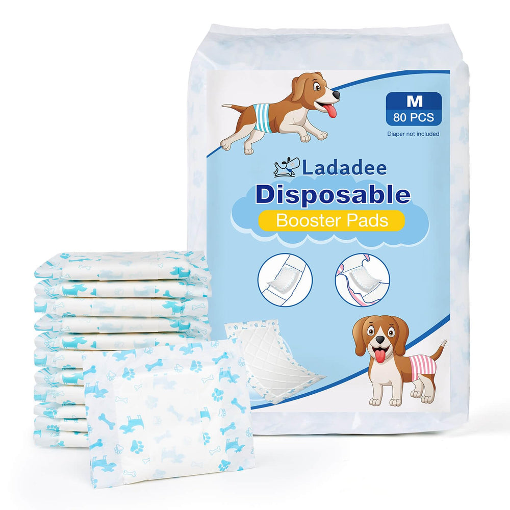 Ladadee emballage avant montrant pack de 80 pièces pratique