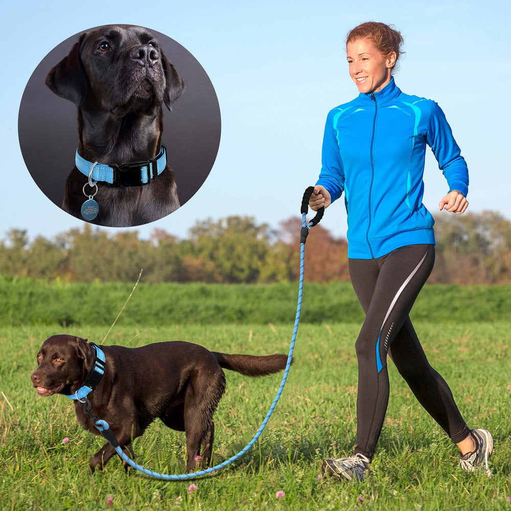 Ladoogo boucle et anneau D métal robustes pour durabilité