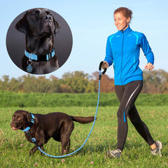 Ladoogo boucle et anneau D métal robustes pour durabilité