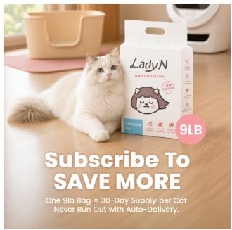 Lady N mise en scène salle de bain montrant discrétion et esthétisme