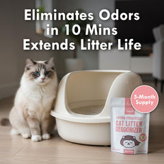 Lady N gros plan du sachet montrant la texture et l'activation rapide