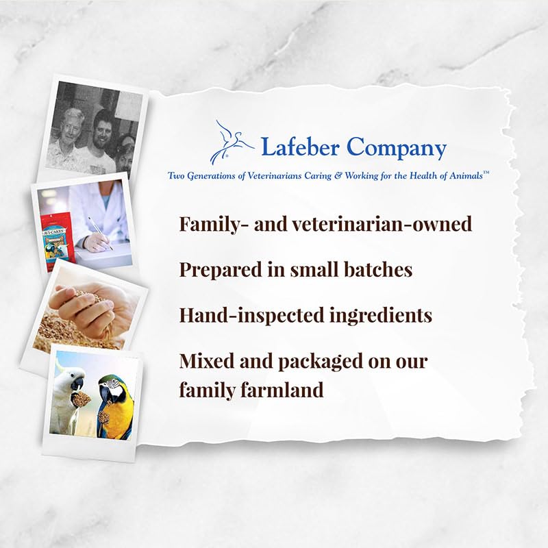 Perroquet mangeant LAFEBER'S dans un cadre domestique, alimentation active