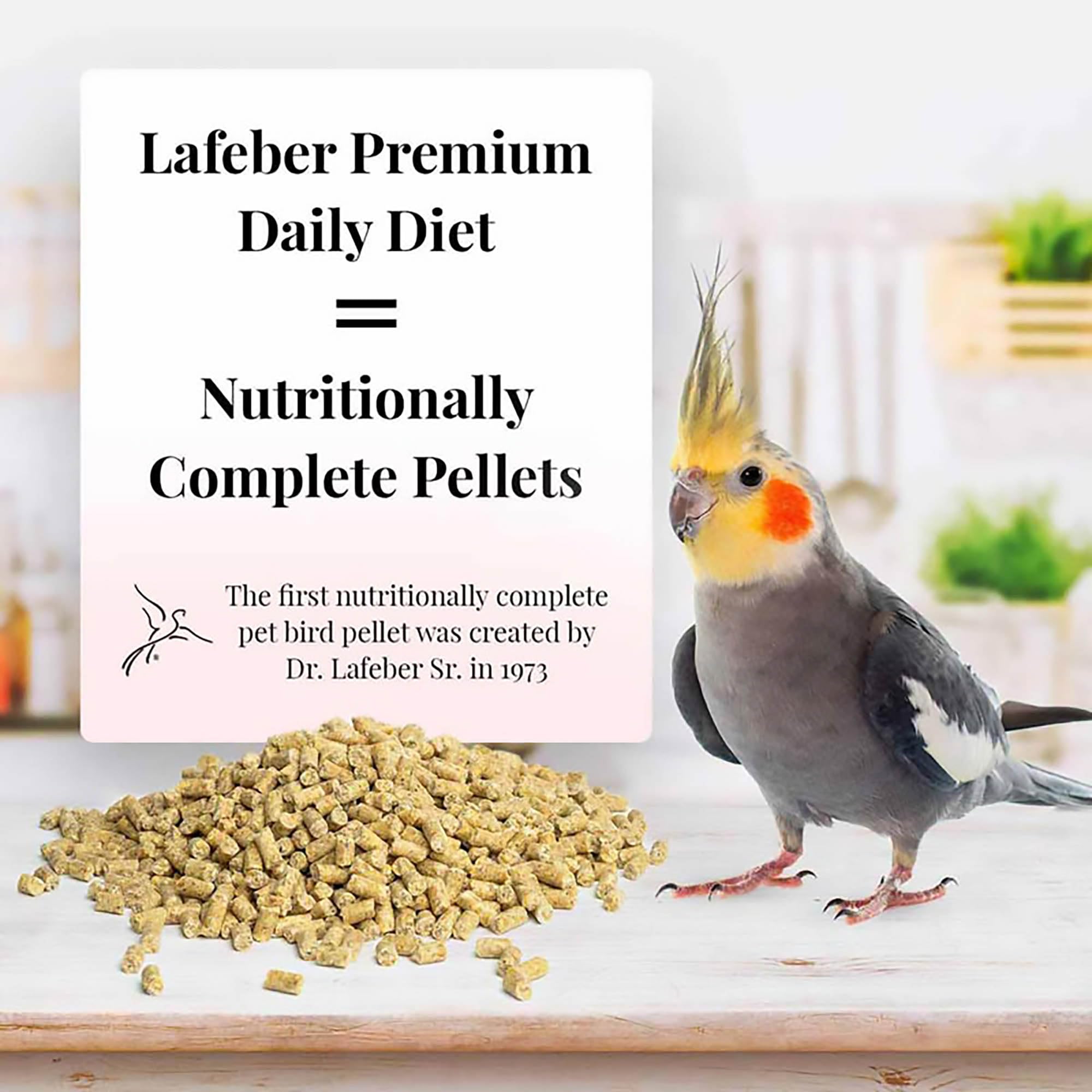 LAFEBER'S granulés dans un plat prêt à servir pour une alimentation équilibrée