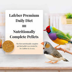 LAFEBER'S gros plan des granules mettant en valeur la texture nutritive bénéfice qualité