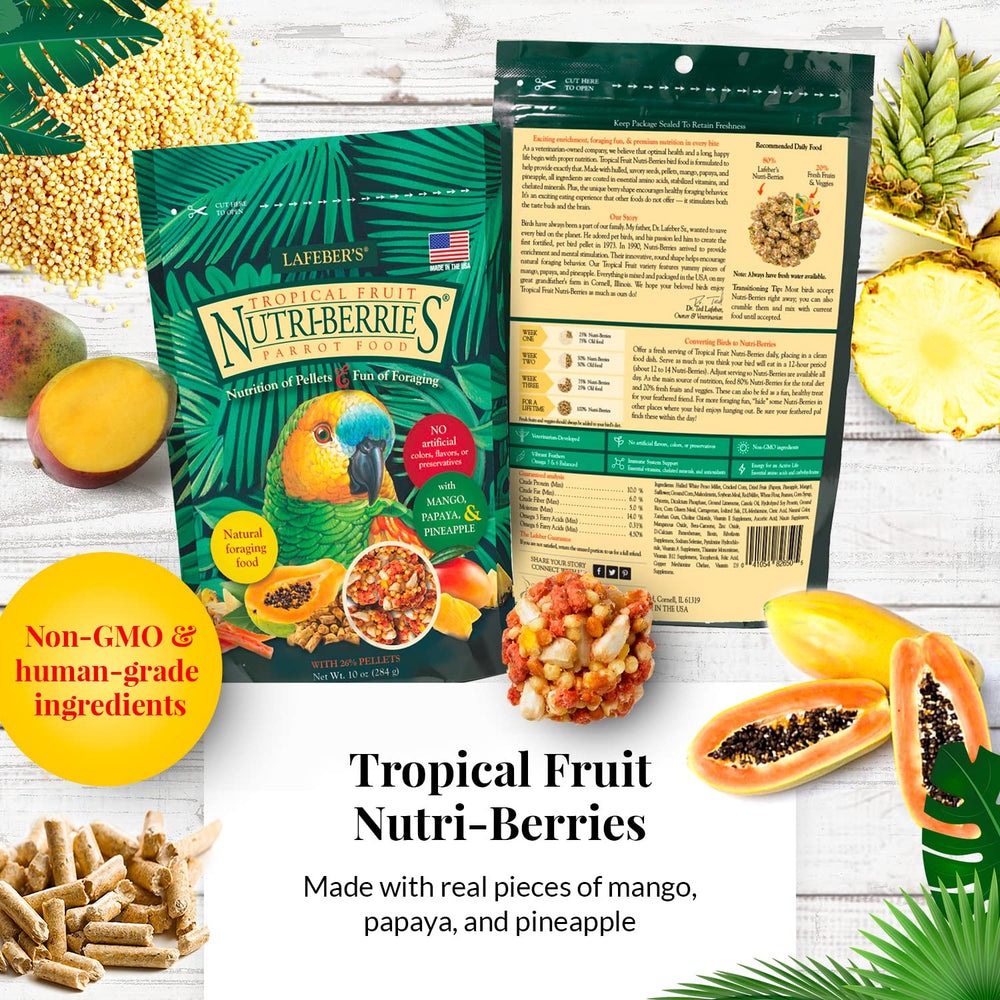LAFEBER'S gros plan sur la texture Nutri‑Berries montrant morceaux de fruits réels