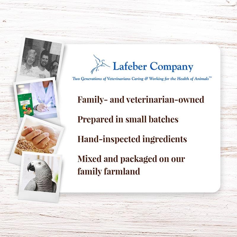 LAFEBER'S scène lifestyle avec cage montrant intégration simple à la maison