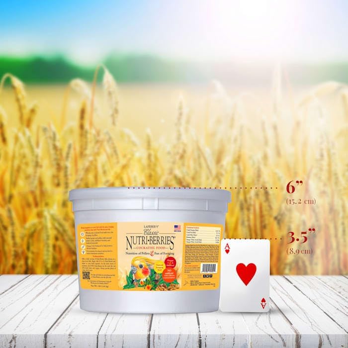 LAFEBER'S boule nutritive tenue en main pour évaluer taille et portion