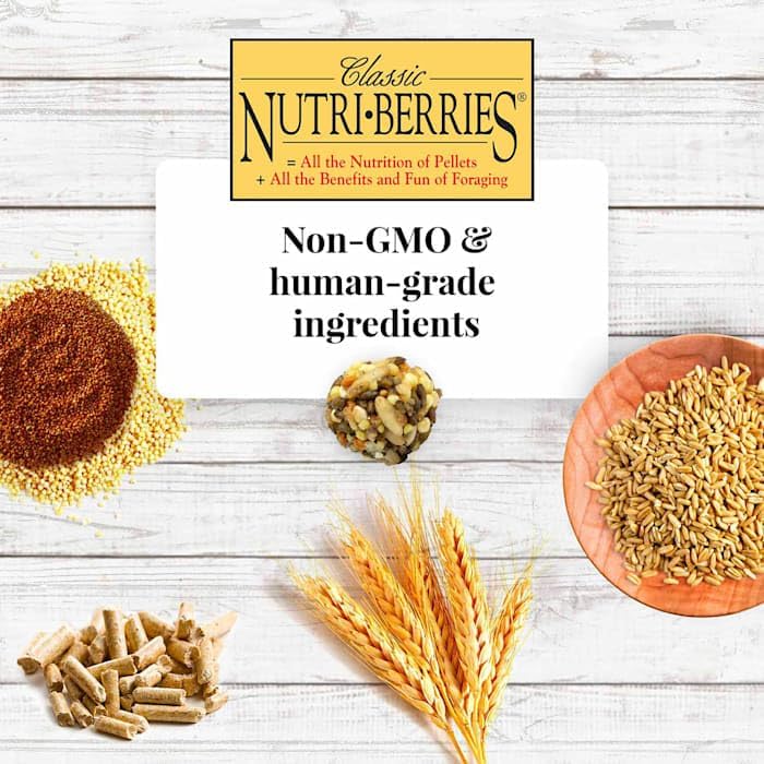 LAFEBER'S étiquette nutritionnelle détaillée pour faciliter choix éclairé