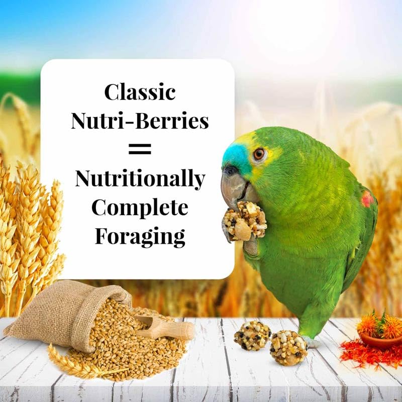 LAFEBER'S gros plan sur boulettes Nutri-Berries montrant texture pour stimulation