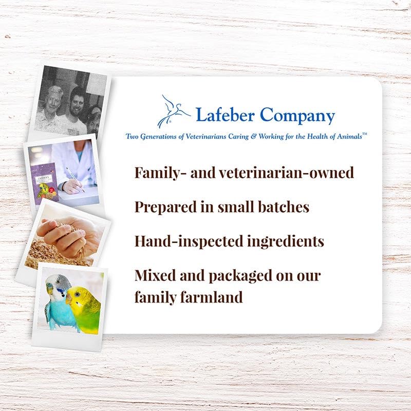 LAFEBER'S perruche mange dans une cage propre, démontre acceptation alimentaire