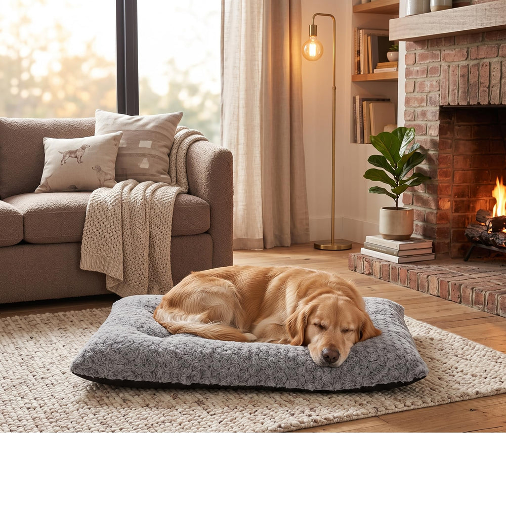 Lafyette lit face avant montrant design neutre et confort
