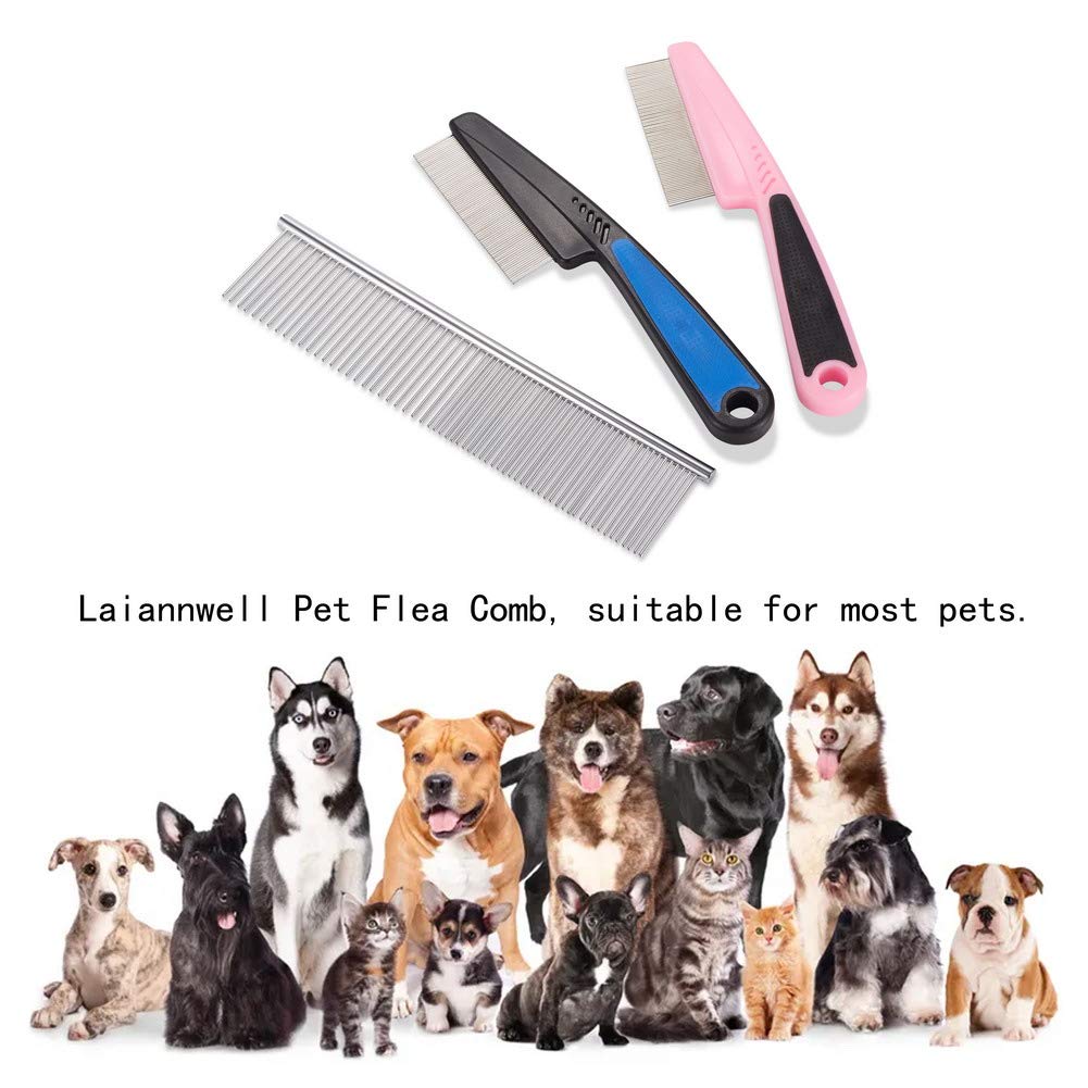 laiannwell ensemble de peignes présenté en boîte cadeau, parfait pour offrir