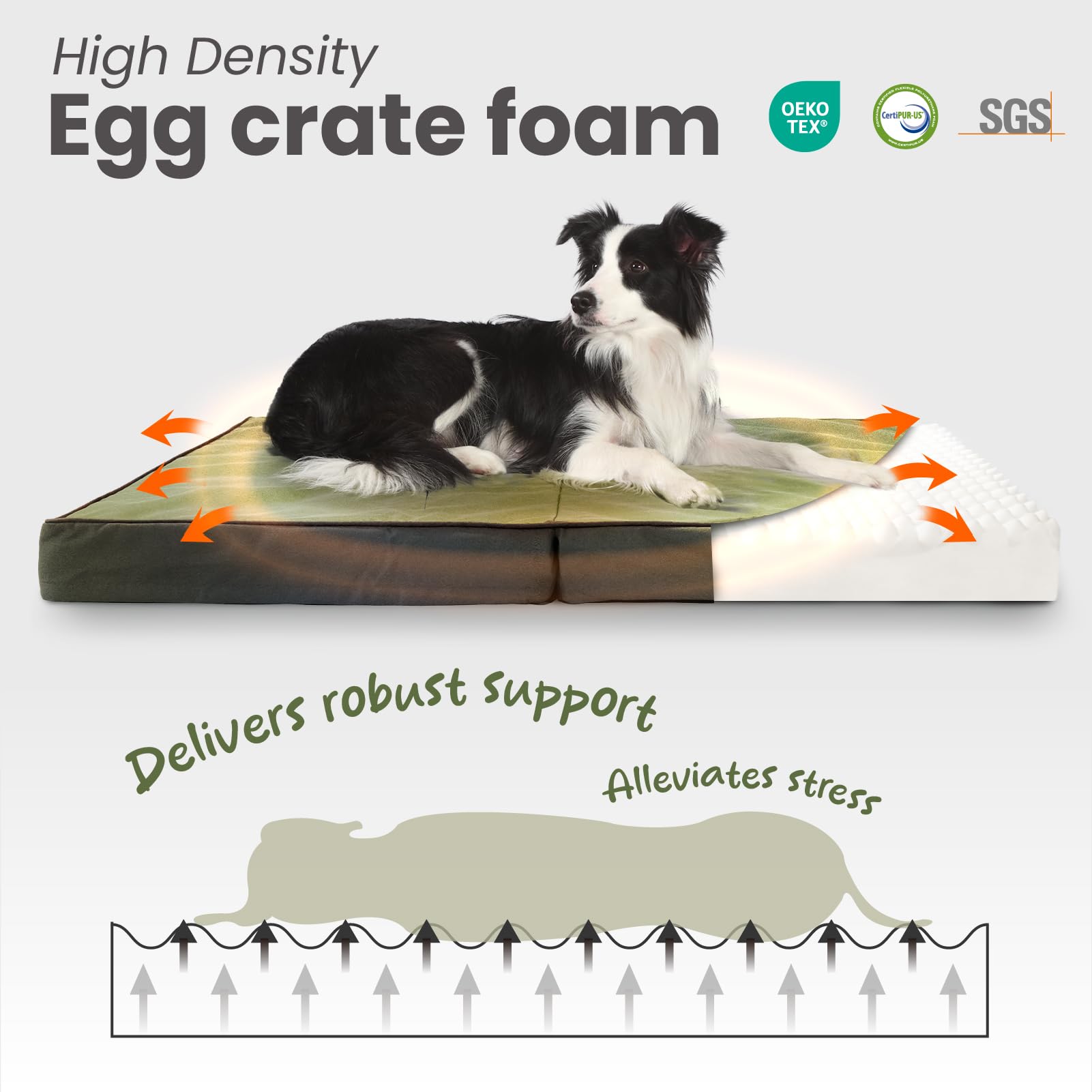 Laifug comparaison taille avec chien illustre dimension 36x27 pouces