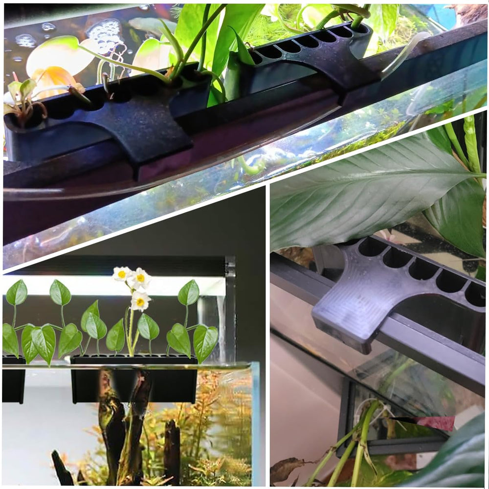 LAIKADI mise en scène aquascape, décoration élégante et fonctionnelle