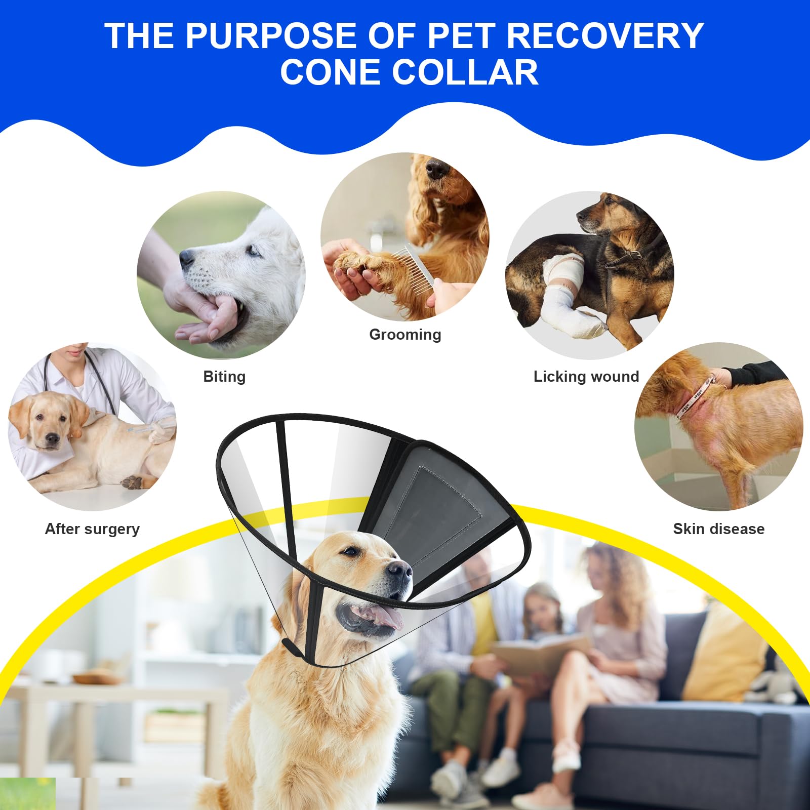Lainergie collier en utilisation sur chien après chirurgie, mobilité préservée