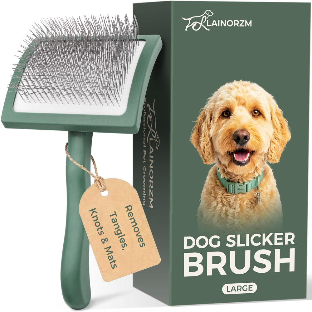 Lainorzm brosse face avant montrant la large surface pour un brossage rapide