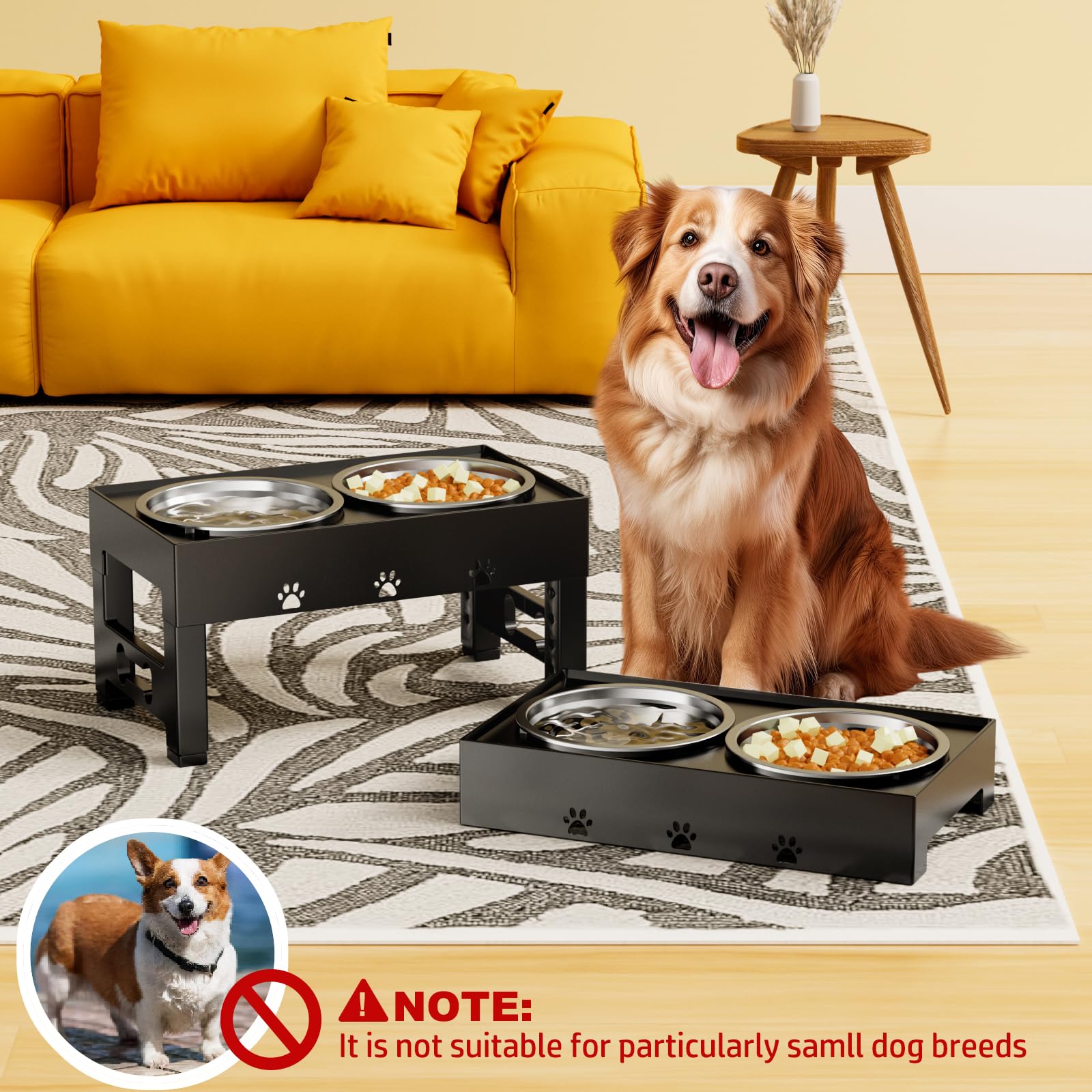LAKIPETN comparaison d'échelle montrant hauteurs adaptées aux chiens