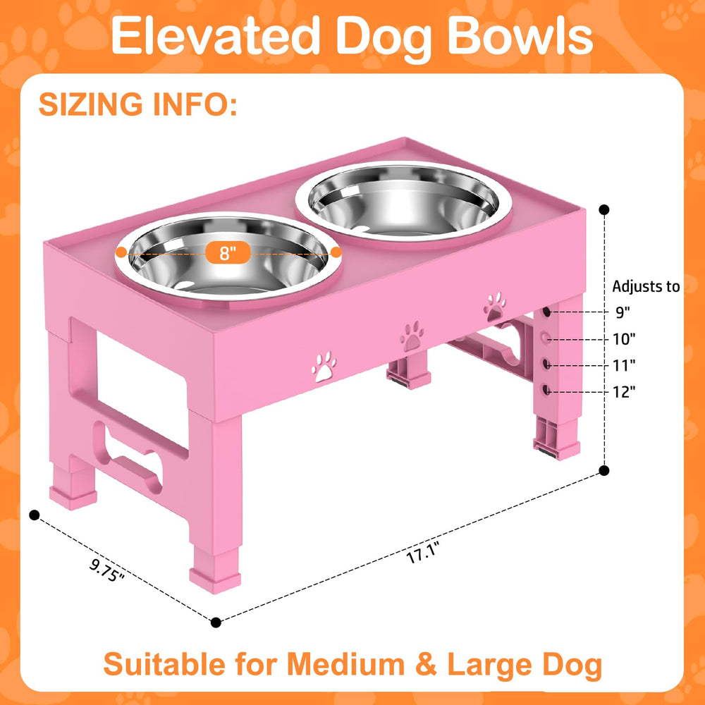 LAKIPETN support en usage avec chien moyen illustrant posture naturelle et confort pendant le repas