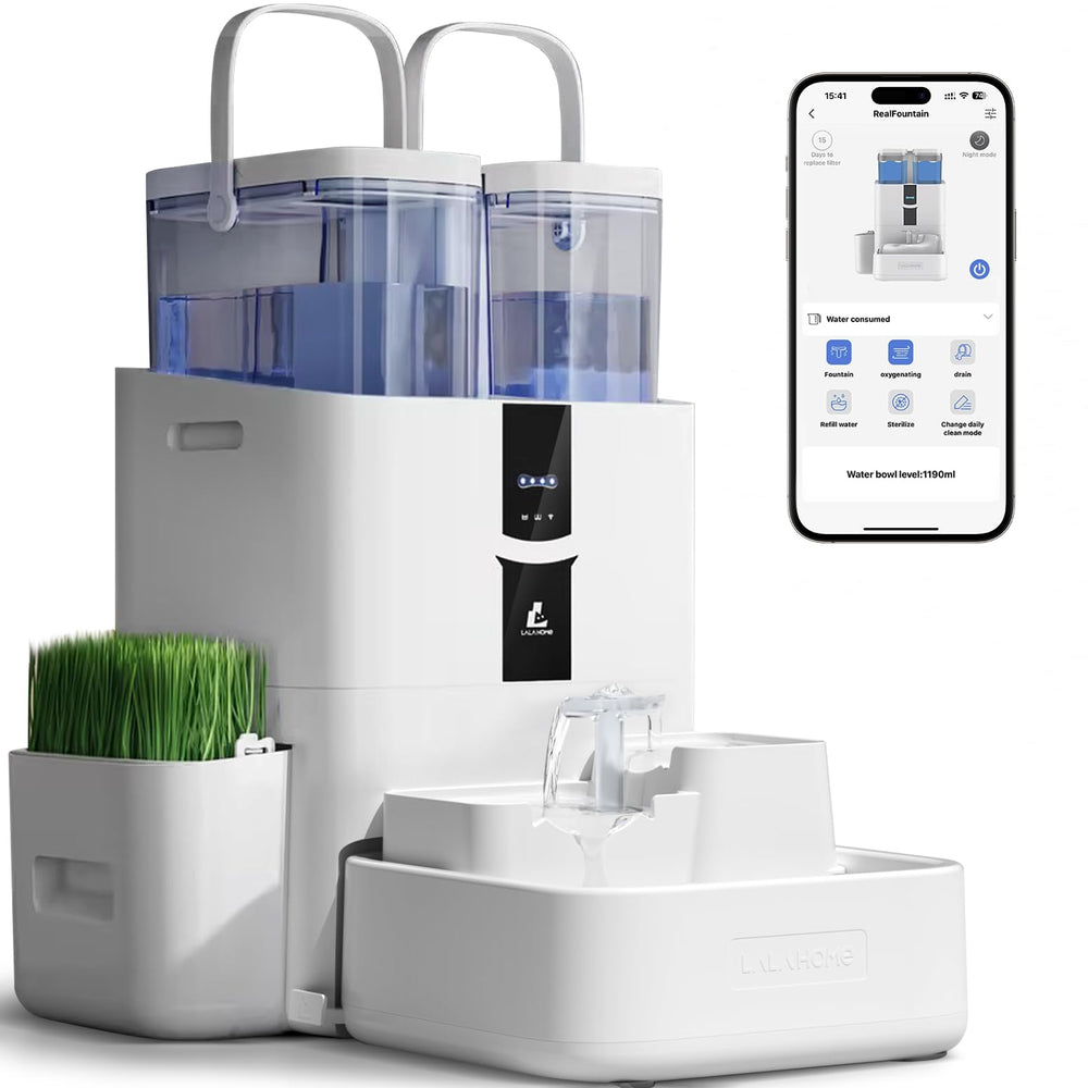 LALAHOME vue avant compacte montrant la fontaine et bénéfice autonomie