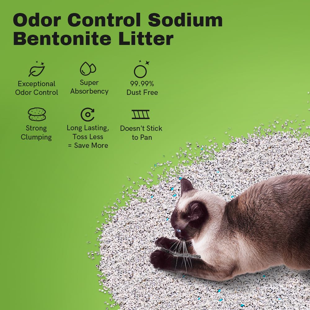 Gros plan de la texture LALAHOME Bentonite, absorption rapide et douce