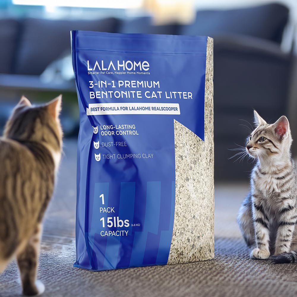LALAHOME mise en situation salon chat calme et maison neutre