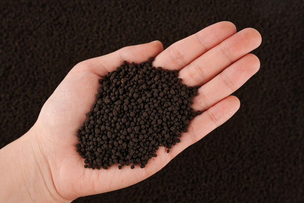 LANDEN granulés dans la main illustrant la taille 3–5 mm et la maniabilité pour mise en place rapide