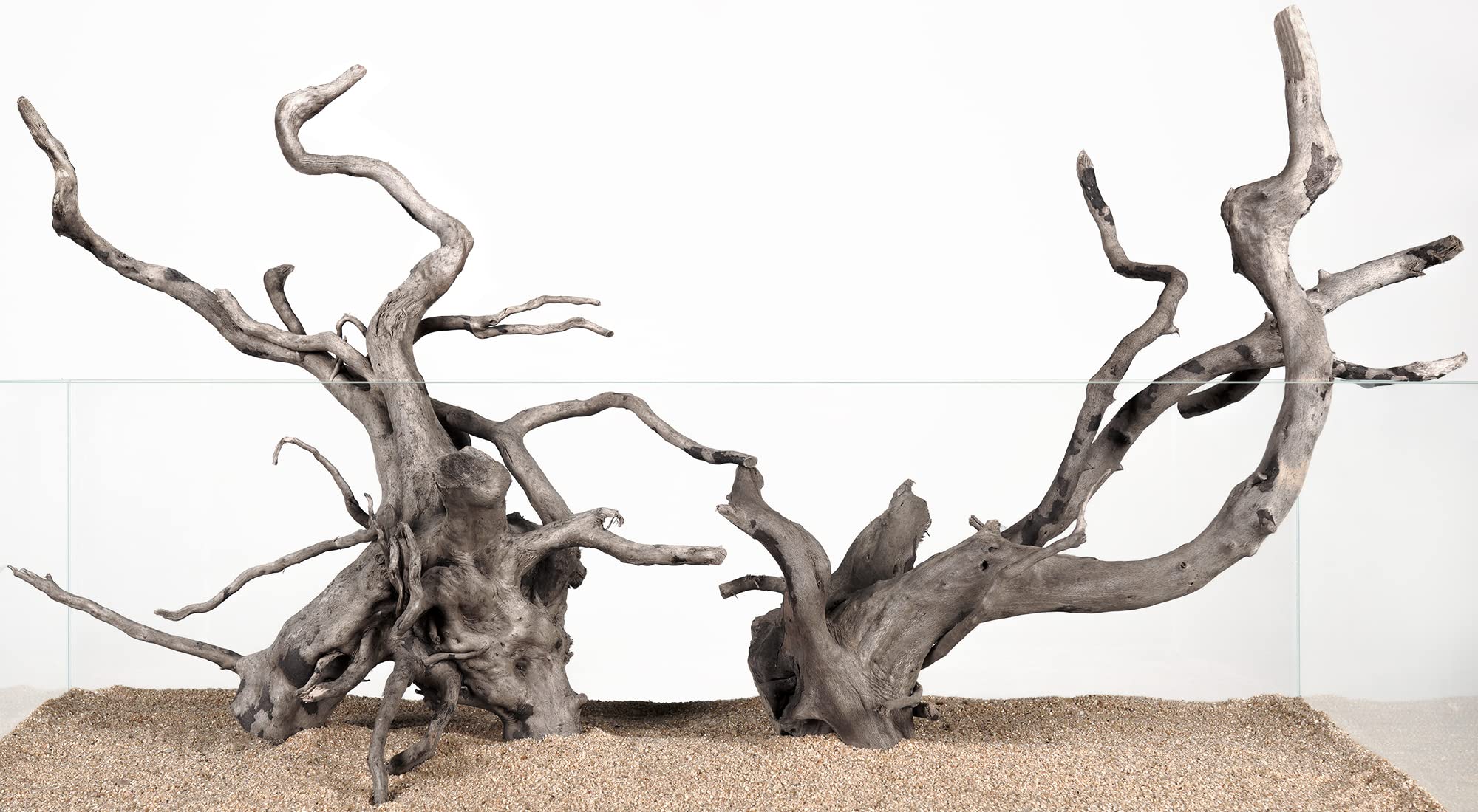 LANDEN vue d’ensemble des 4 branches pour décor aquarium montrant composition et contraste