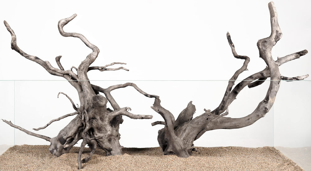 LANDEN vue d’ensemble des 4 branches pour décor aquarium montrant composition et contraste