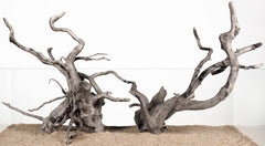 LANDEN vue d’ensemble des 4 branches pour décor aquarium montrant composition et contraste
